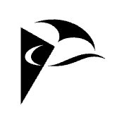 Primary Raster logo